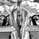Illustration for article titled All These Jaw-Dropping Airplane Images Were Taken By This Flying Photog